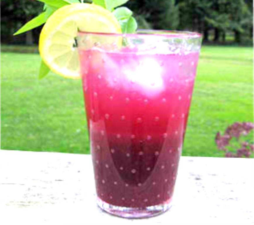 DUHAT/LOMBOY JUICE (Java Plum)Best Of Filipino Food Recipes