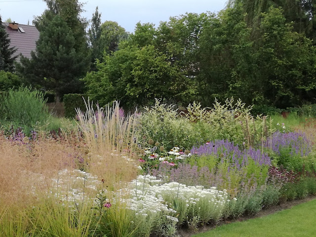 rabata preriowa, perennial border, trawy w ogrodzie