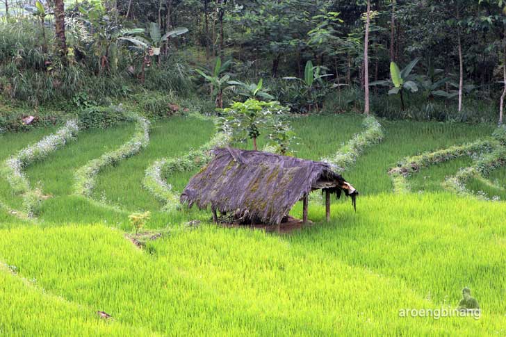makam syekh maja suta petungkriyono pekalongan
