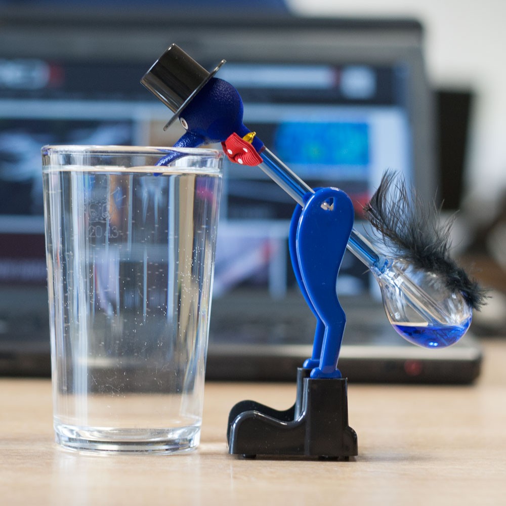 Bird In Everything Toy Drinking Bird