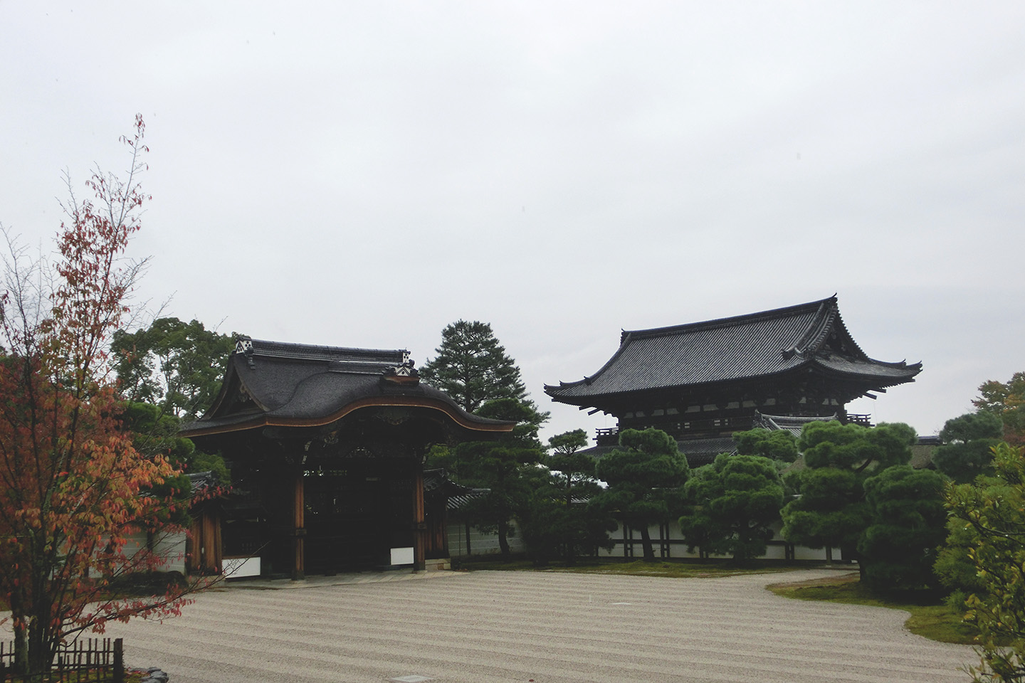 宅貓の窩 秋季未深時 京都篇 仁和寺 龍安寺 金閣寺