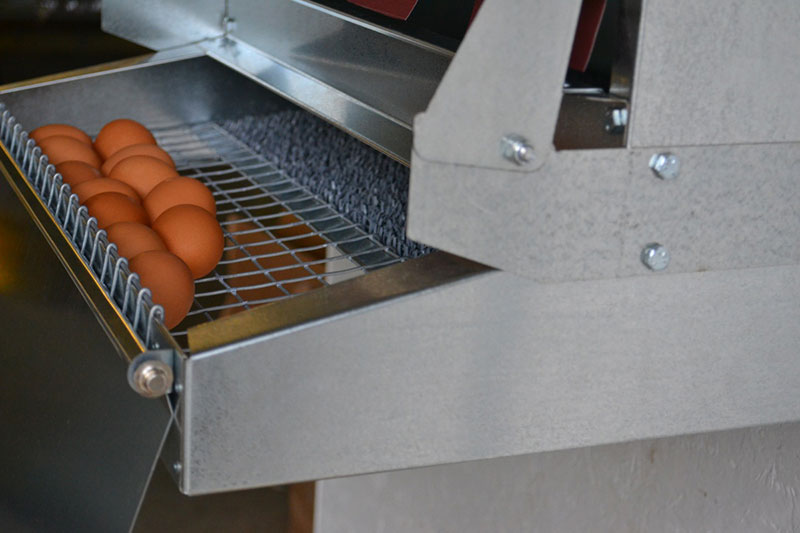 Rollaway, Roller Egg, Roll Out, Nest Box