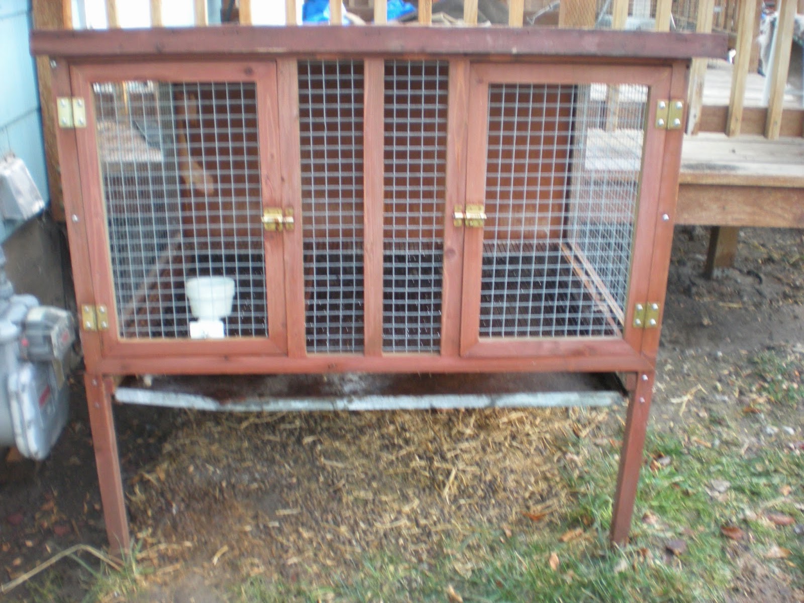 SHAMROCK RABBITS Rabbits, Bunnies & Cages for Sale as of April 10th, 2015