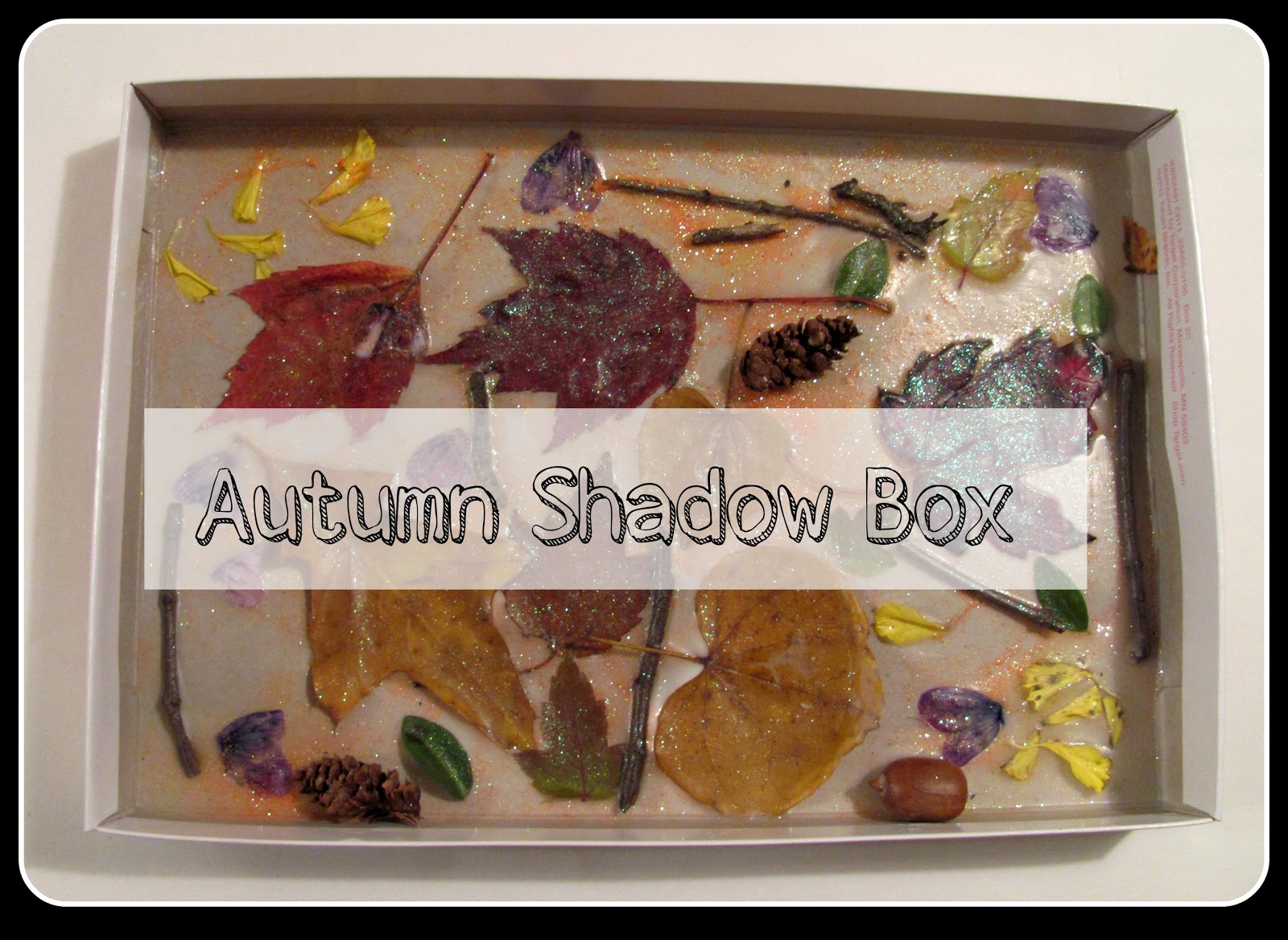 The Chocolate Muffin Tree Autumn Treasures Shadow Box