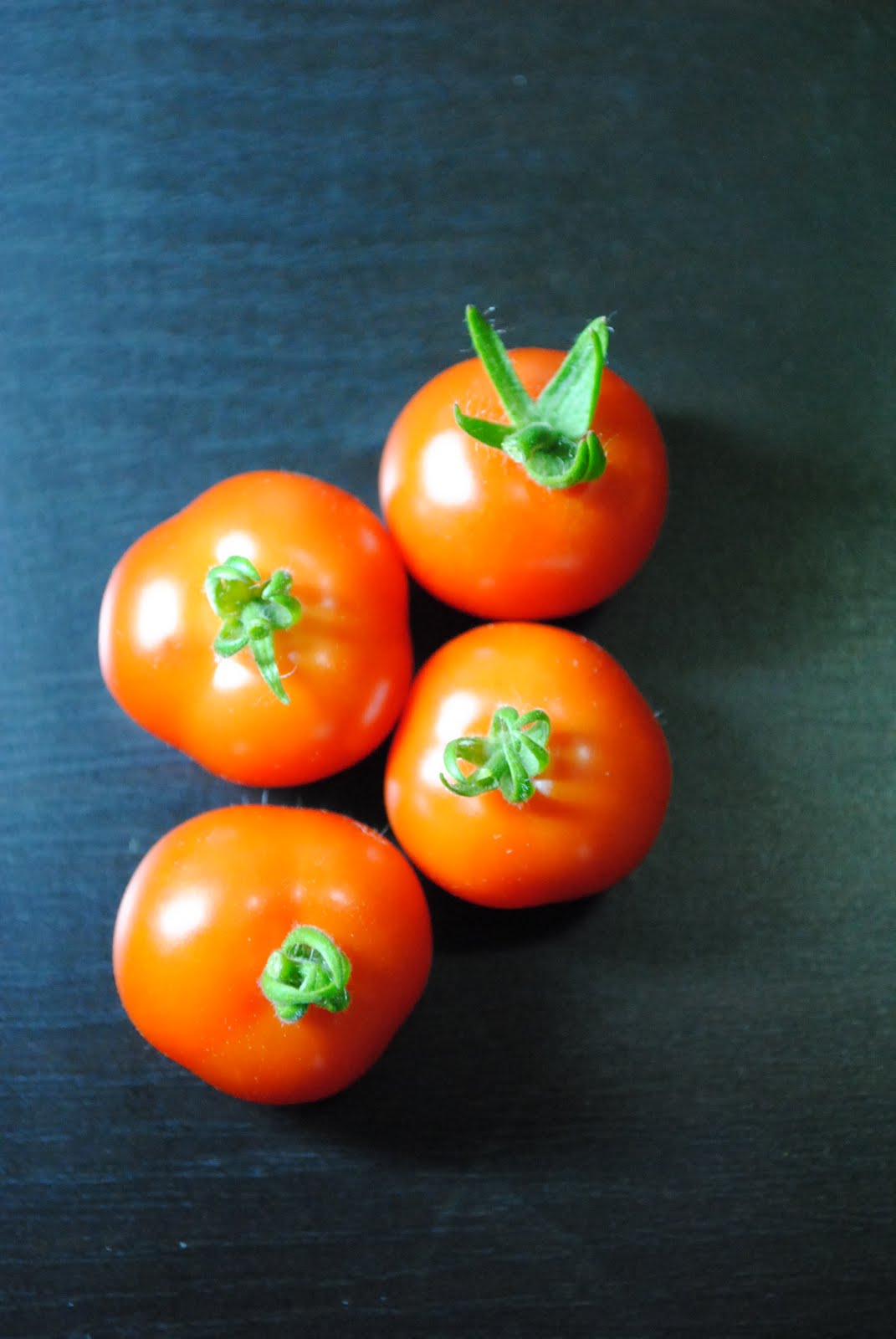 Potted Farm Aerogarden Tomato