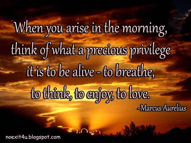 Be an Early Riser with these 20 Morning Quotes When you arise in the morning, think of what a precious privilege it is to be alive - to breathe, to think, to enjoy, to love. -Marcus Aurelius