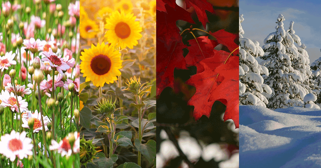 Las Estaciones del Año Explicacion Significado e Importancia de