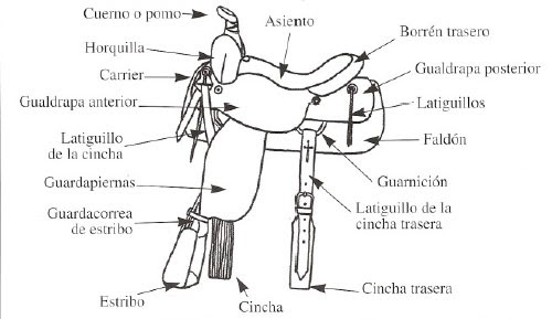 De Arena Y Sal Tipología De Sillas De Montar I