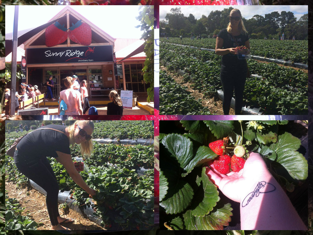 Min STORA resa till Australien Strawberry farm, lek och utsökt mat