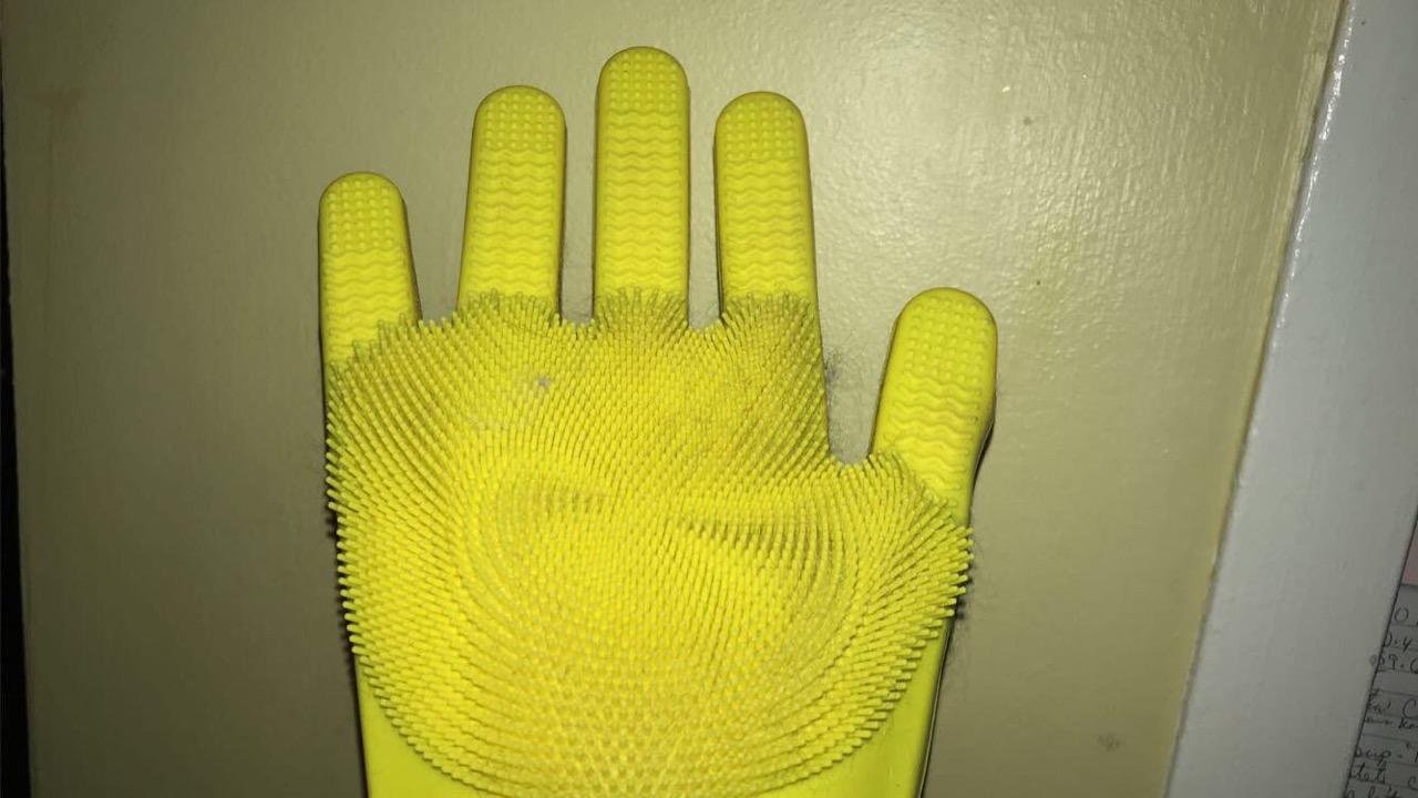 Pet Care We Tried Fur Zapper and The Glove SPATE The 1 Hip Hop News