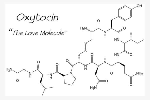 oxytocin.jpg