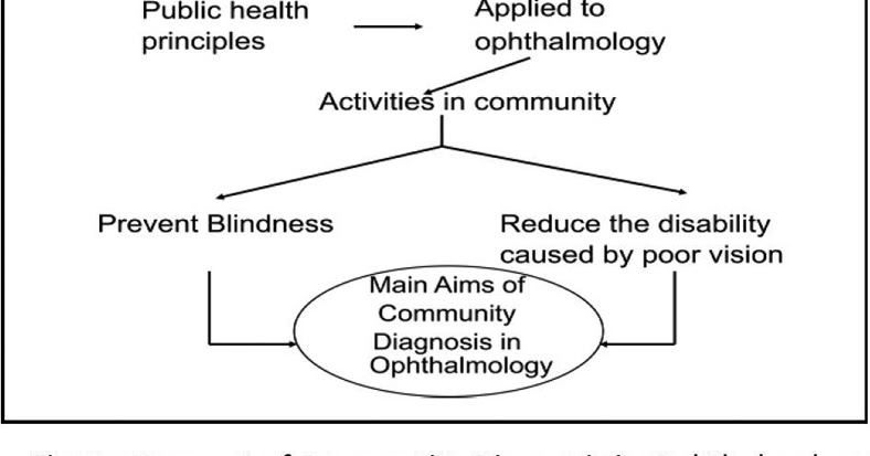 Public Health Notes Introduction To Community Diagnosis