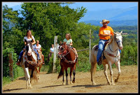 Guide led trail rides