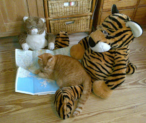 The Ginger Cat distracts Zuggy and Fat Cat