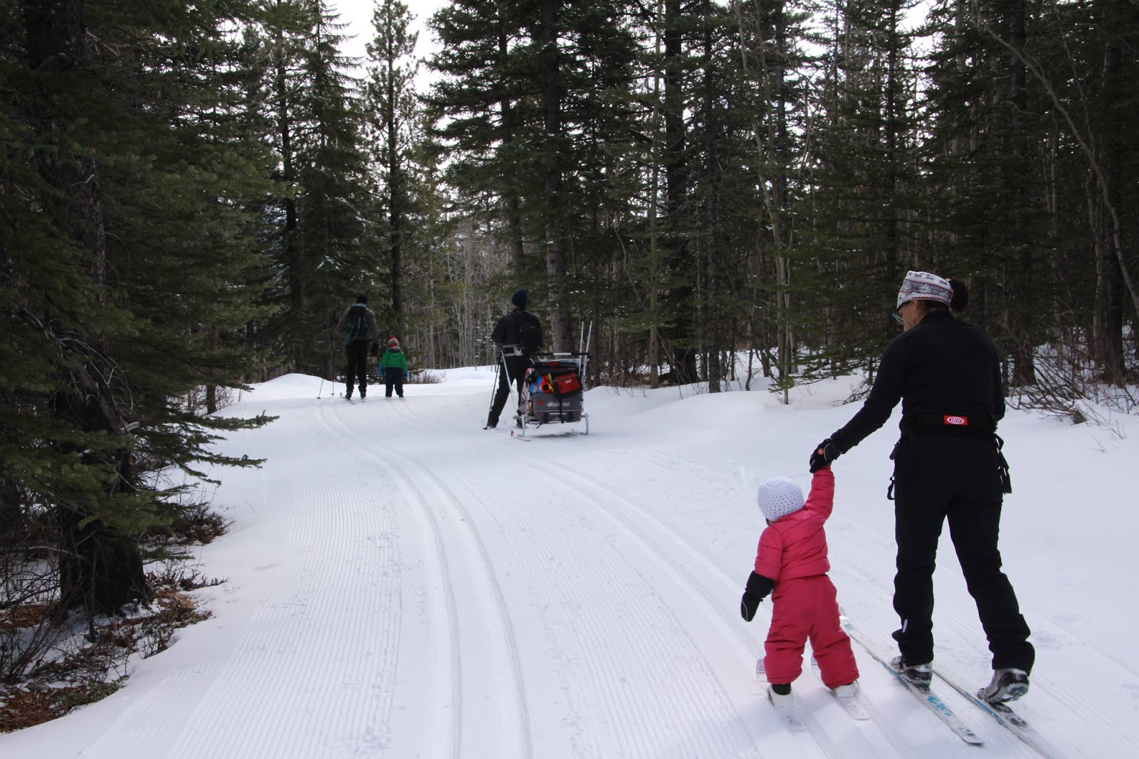 Family Adventures in the Canadian Rockies Family Cross Country Ski