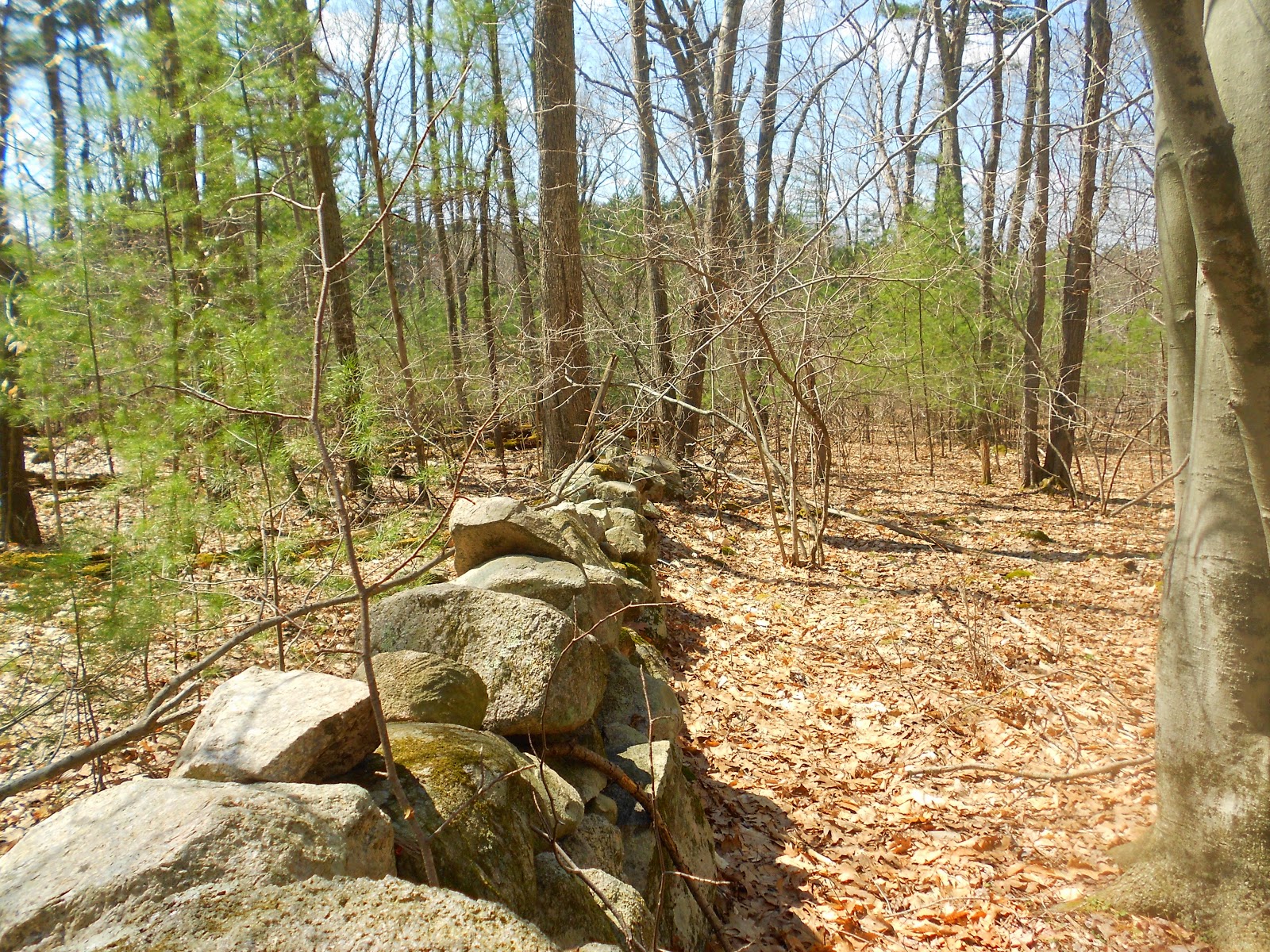 Breakheart Trail Running Bay Circuit Trail Hike Map 9 Rocky