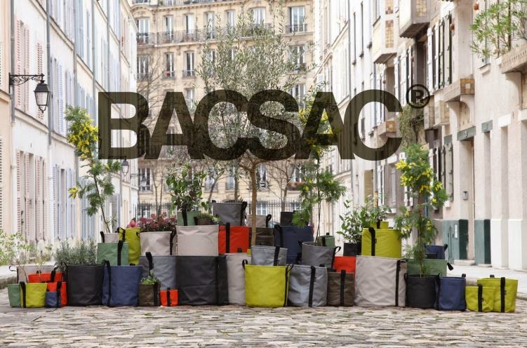 Fleurir Son Appartement Quand On N A Pas La Main Verte Louise