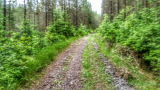 Saxoprint Sachsentrail 2016 Traillauf Saxoprint Sachsentrail 2016 Halftrail