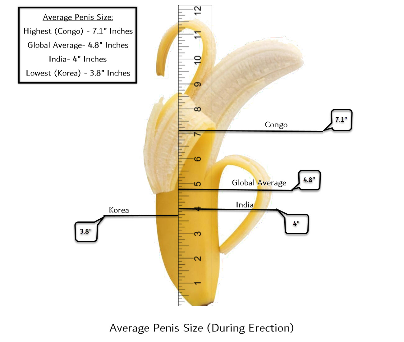 https://en.m.wikipedia.org/wiki/Human_penis_size Human penises vary in size on a numb...