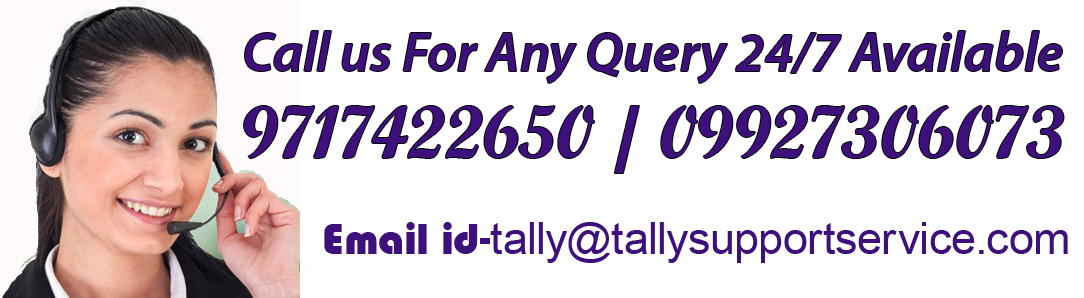 Tally Support Greater Noida