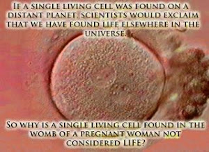 Double Standards and Single Cells