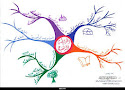 أهمية ..الخرائط الذهنية في  فهم ومراجعة مادة التاريخ