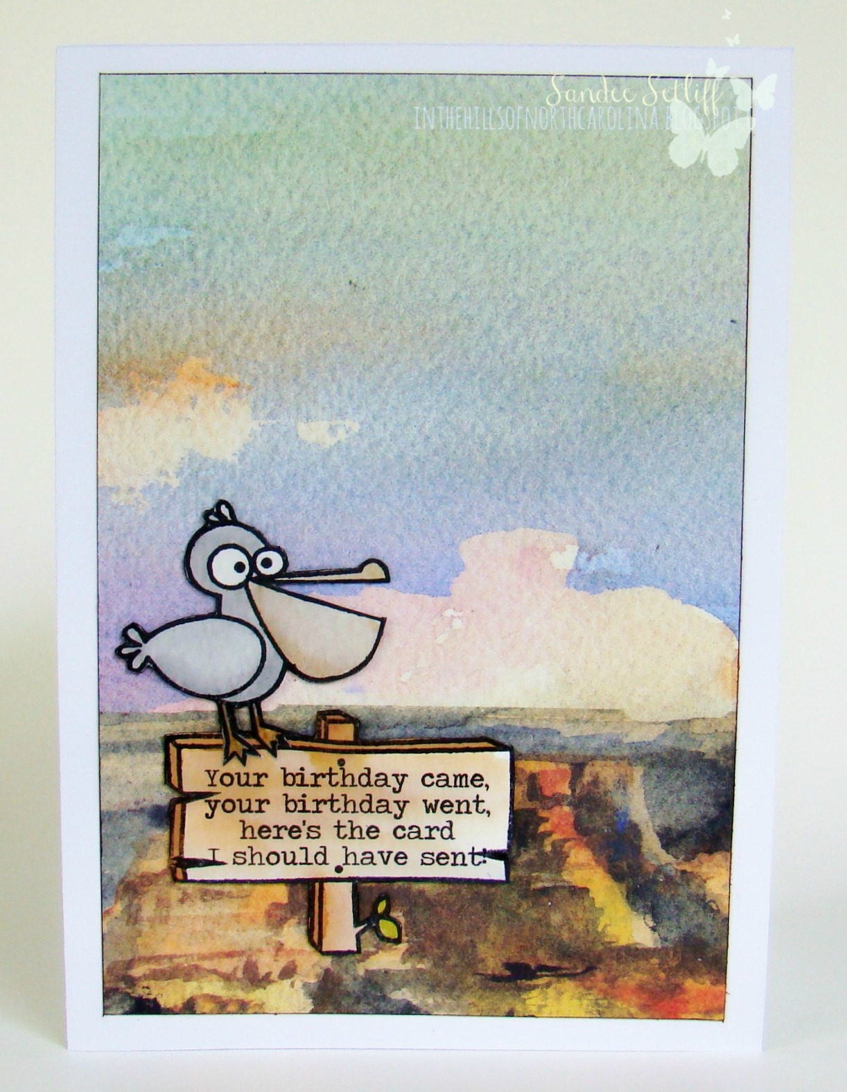 in the hills of North Carolina Picnic noun, often attributive