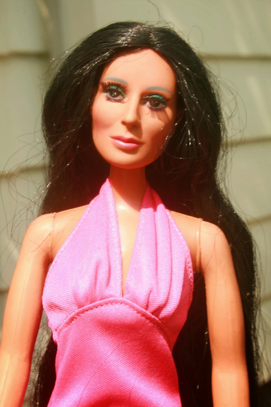 Planet Of The Dolls Doll A Day 238 Cher 