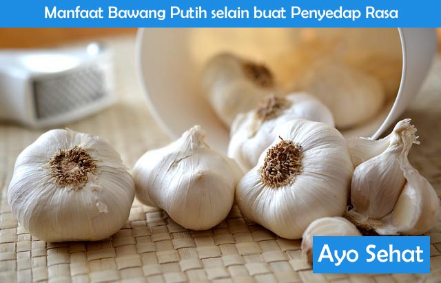 Manfaat Bawang Putih selain buat Penyedap Rasa Manfaat Bawang Putih