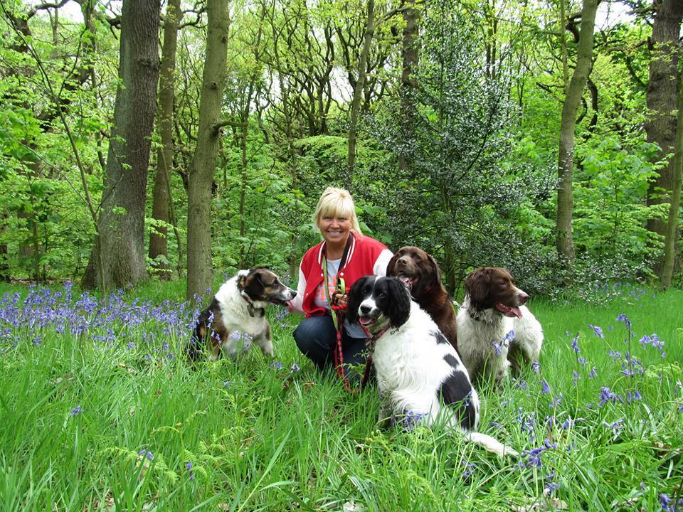 Best Friends Dog Hotel ***BEST FRIENDS*** dog hotel, doggy day care and dog walking service