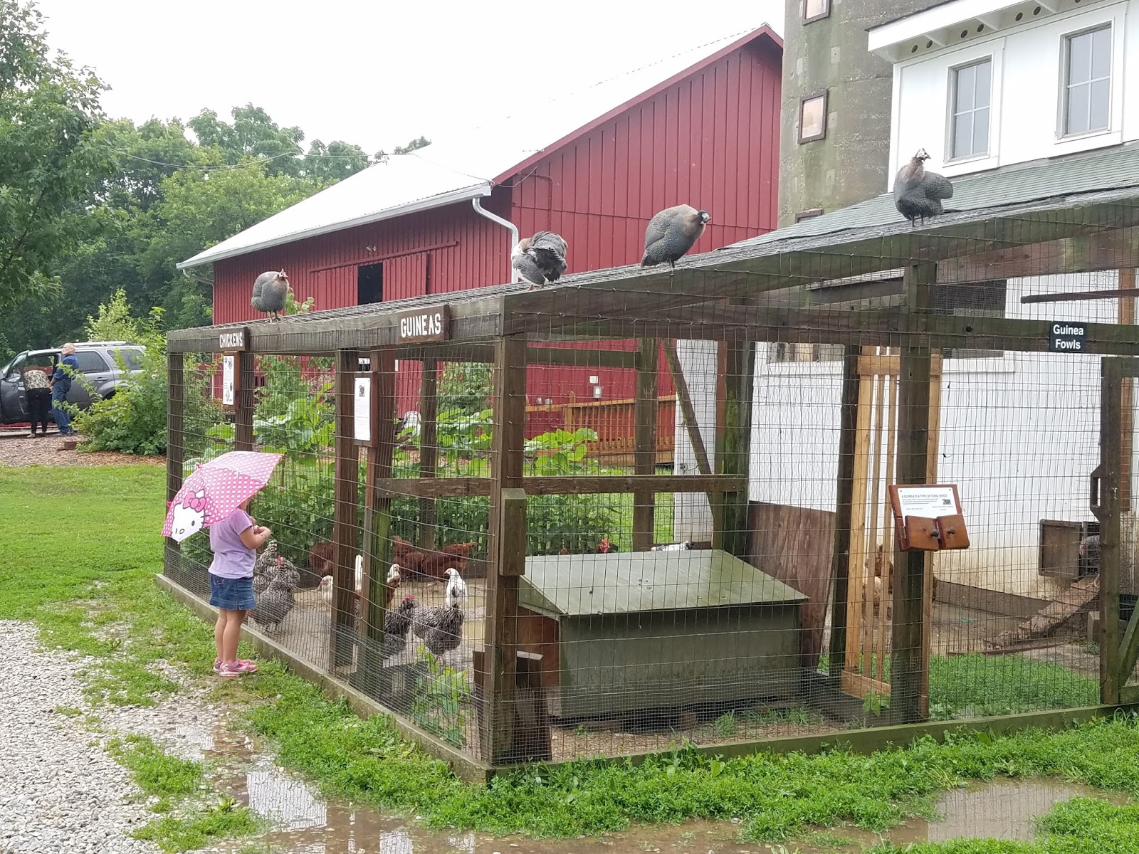 Play St. Louis Willoughby Heritage Farm, Collinsville IL
