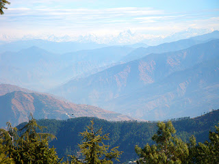 Kufri - Shimla