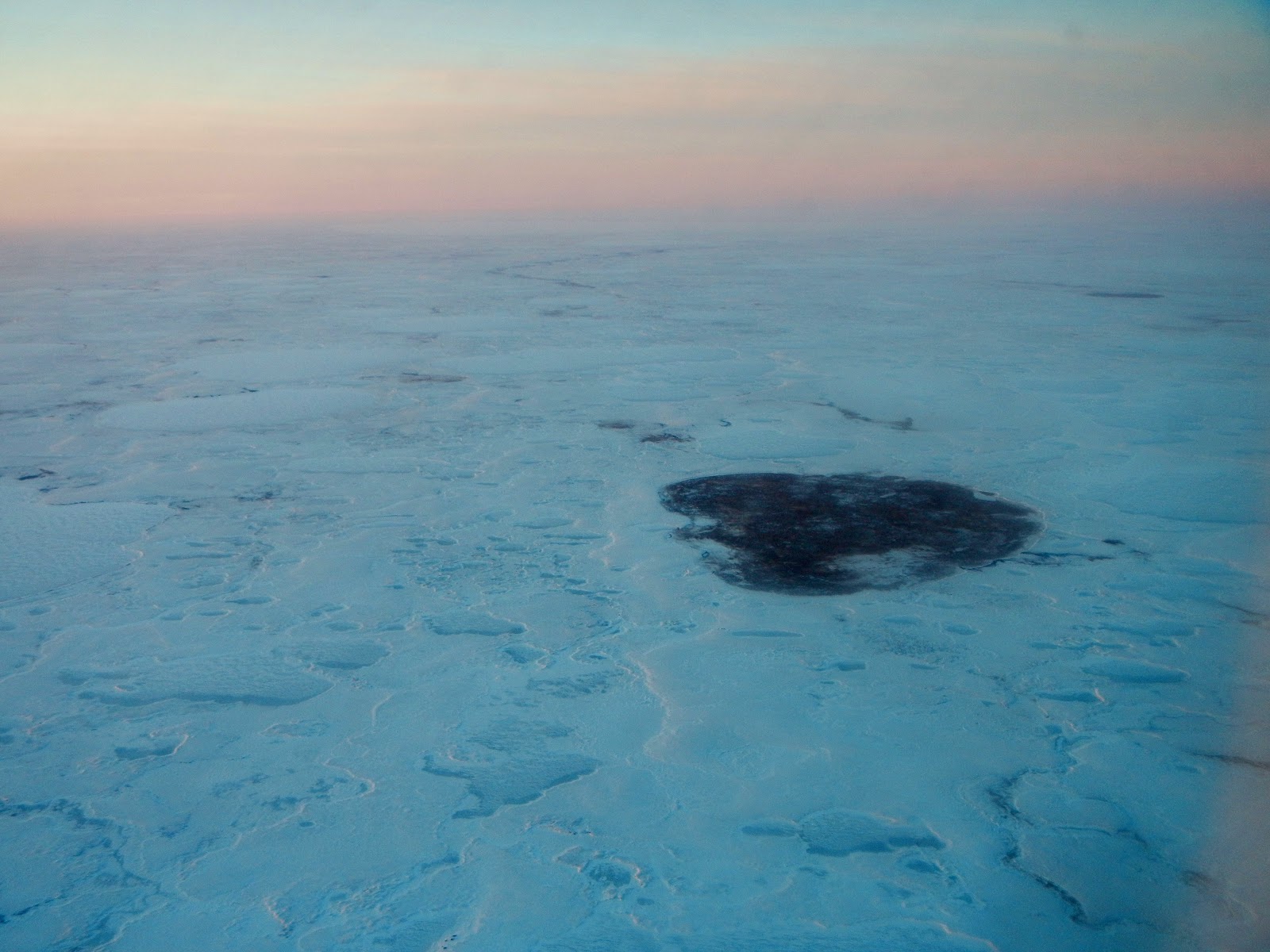 Nutmeg in Alaska Hooper Bay Take 3