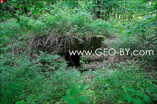 Немецкое бетонное укрытие в лесу возле Борун