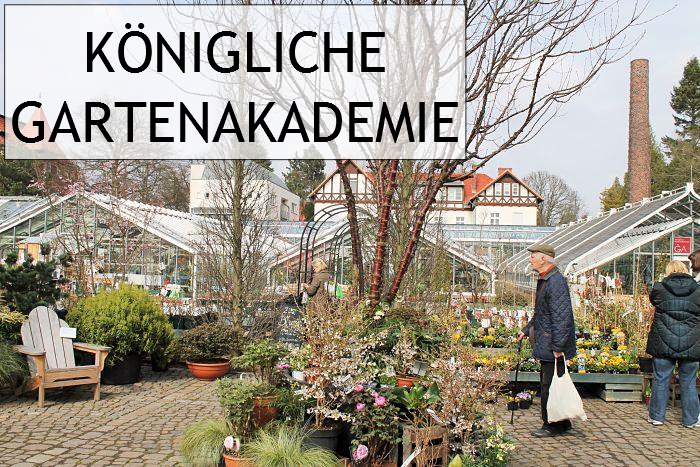 Vivir Berlin Königliche Gartenakademie