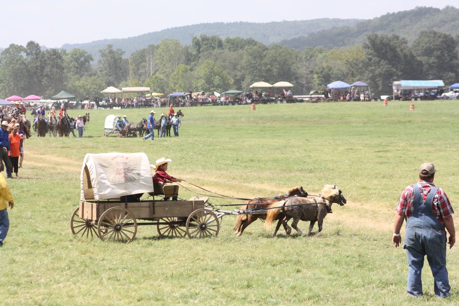 PairADice Mules National Champion Chuckwagon Races Oklahoma Land Rush