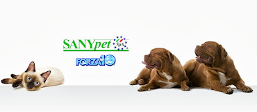Sanypet - Forza10