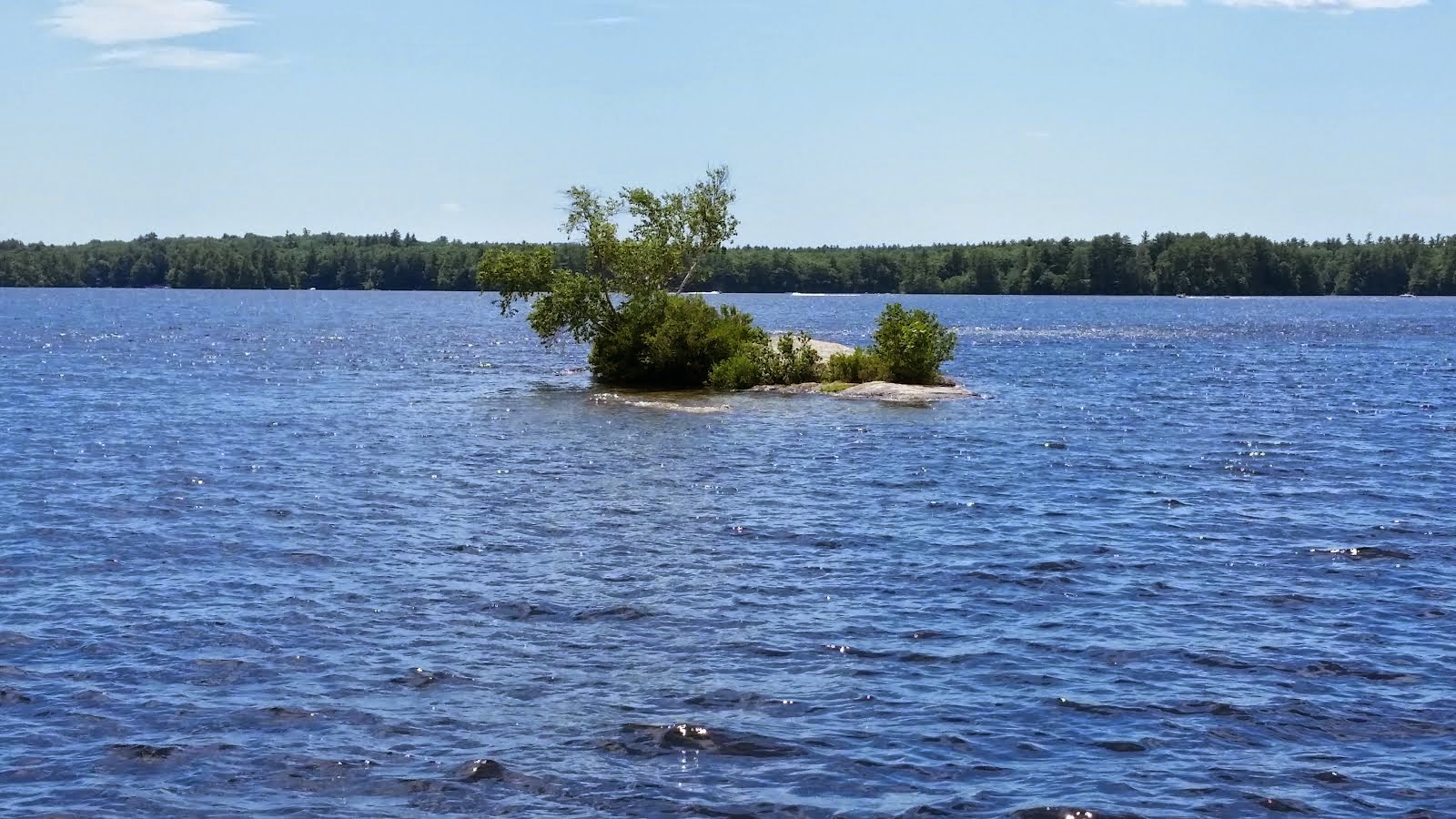 Thomas Pond Shore Association