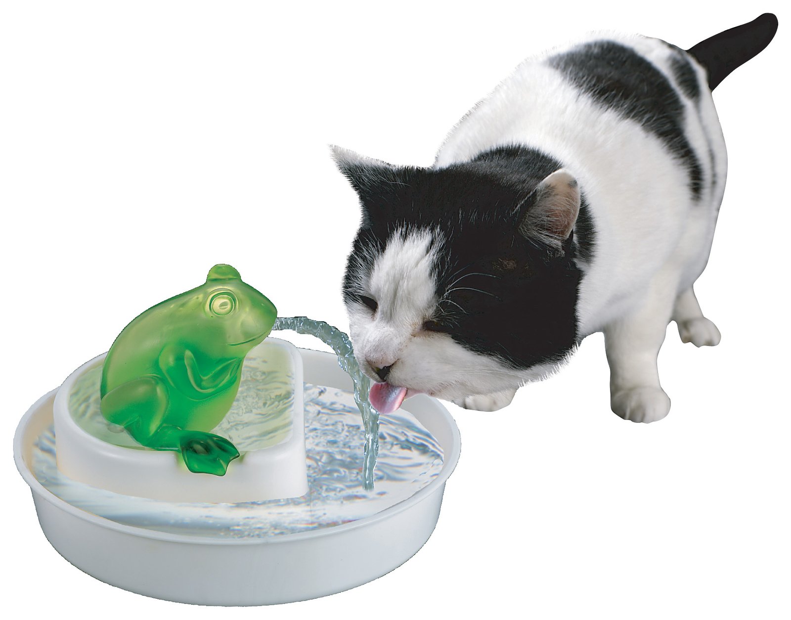 Kedi maması 1. seçim: ürün açıklaması, artıları ve eksileri Kedi maması 1. seçim: ürün açıklaması, artıları ve eksileri