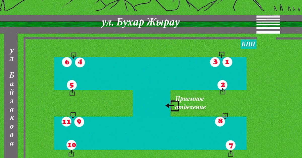 Department of Pediatric infectious diseases: Контакты