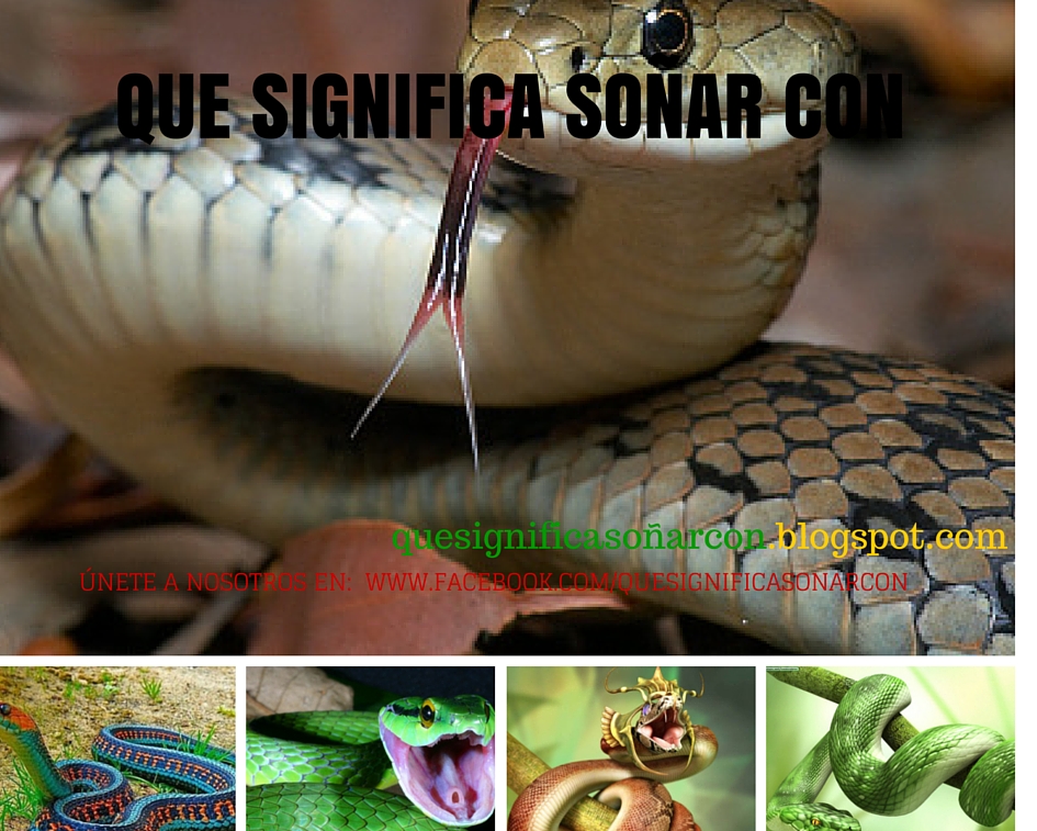 Que significa sonar con una serpiente mamba negra