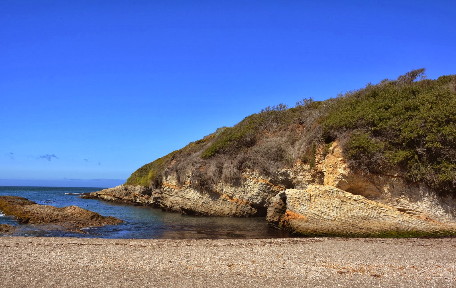 Patrick Tillett Spooner's Cove California Central Coast