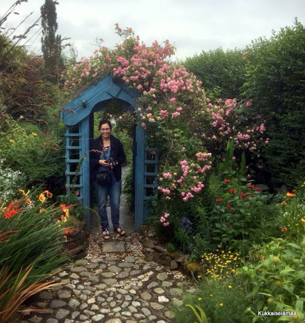 Kukkaiselamaa My Flowering Life Poppy Cottage Garden