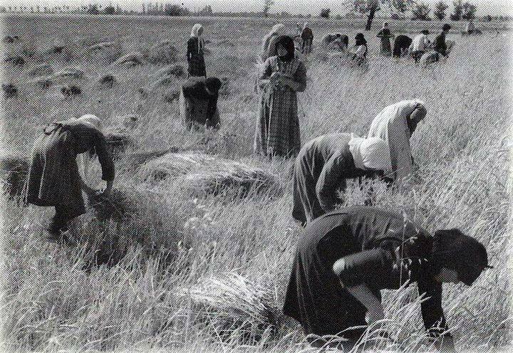 Αποτέλεσμα εικόνας για ΘΕΡΙΣΜΟΣ ΛΑΟΓΡΑΦΙΚΟΣ ΠΟΛΥΔΡΟΣΟΥ