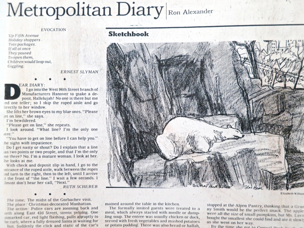 Drawn Downtown: Gus, the Central Park Zoo Polar Bear, Is Dead - Lenox