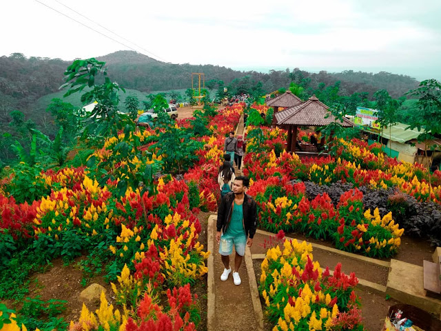 Wisata Sri Gunung Banyuputih