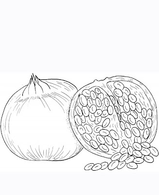 Red Pomegranate Seeds Coloring Pages Picture