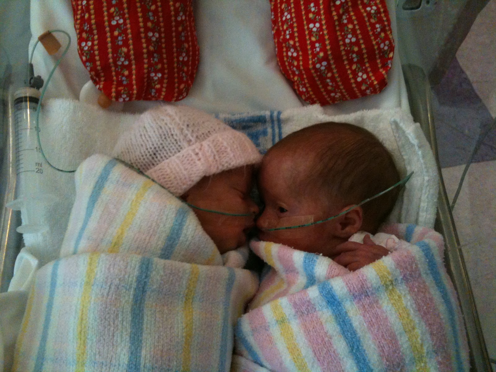 Journal Mumma Westmead NICU Twin Crib