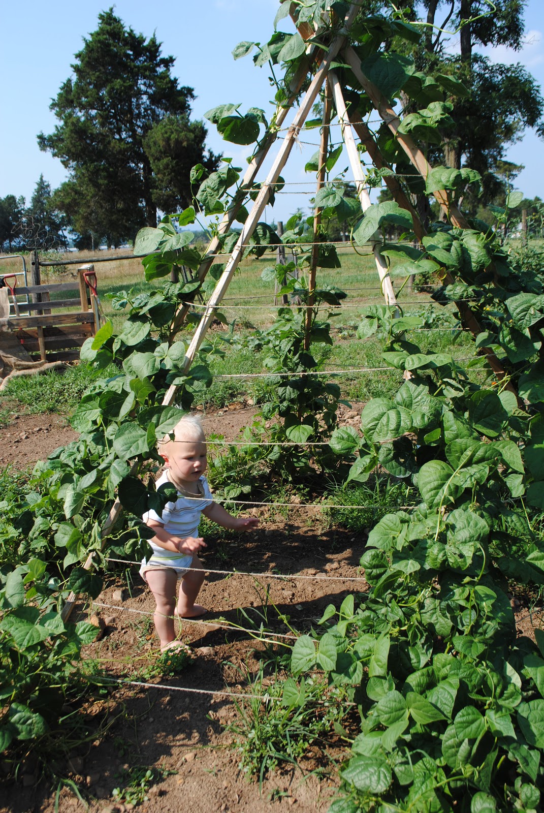 Knit One, Raised 4 The Bean TeePee