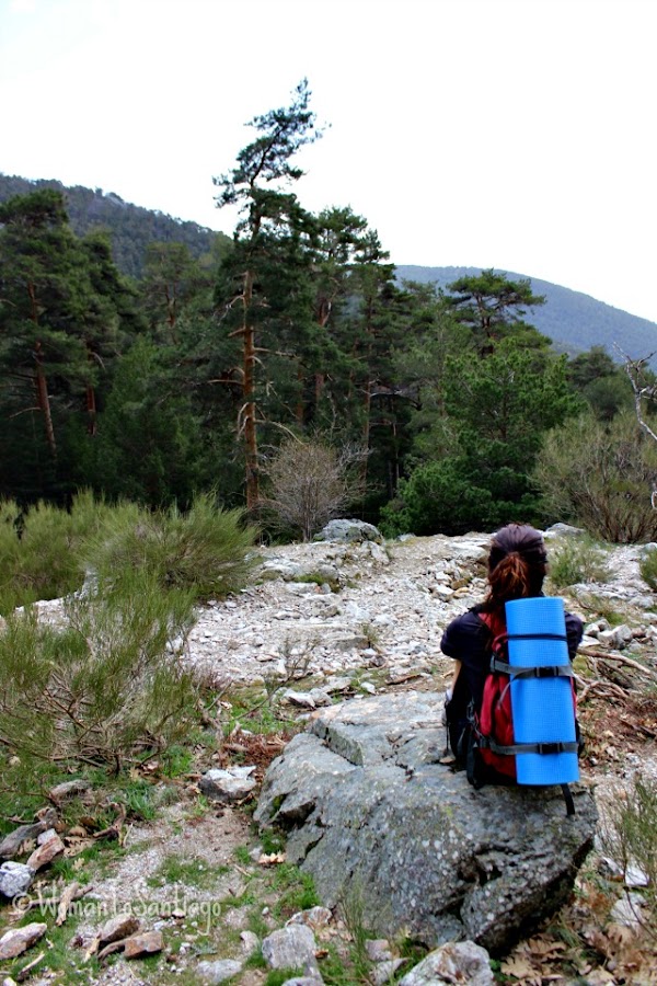 foto camino de madrid